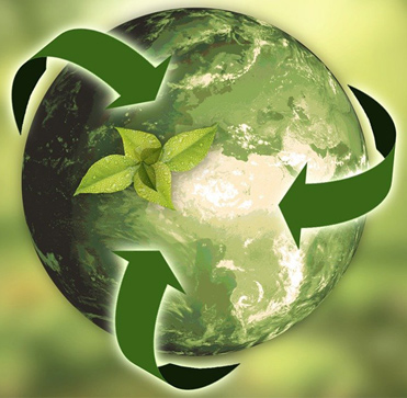 É possível ter um negócio rentável e preocupado com o meio ambiente?
